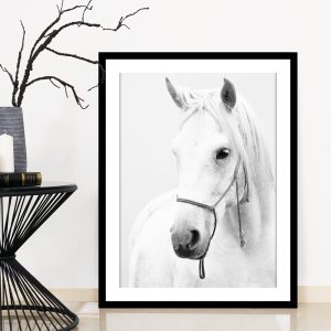 Wall Art – Horse