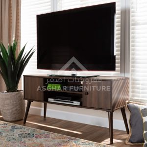 Modern 2-door TV Stand