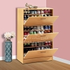 Shoe Cabinet